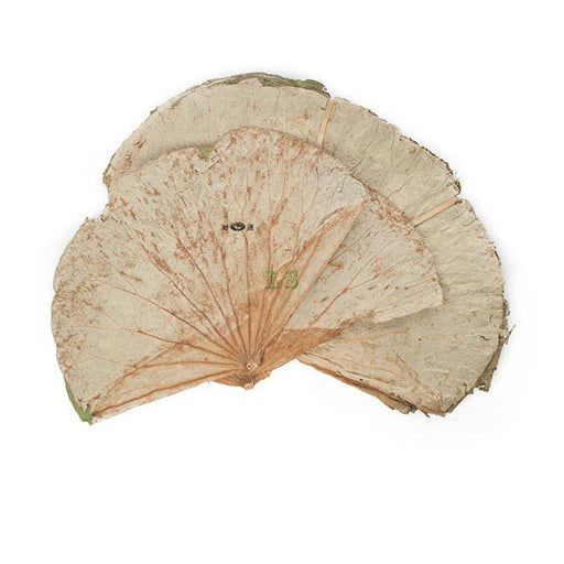 Lotus Leaf 10LB/BOX